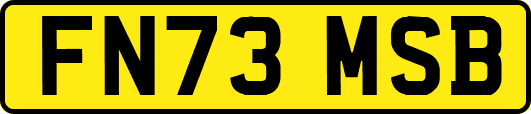 FN73MSB