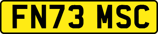 FN73MSC