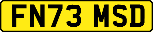 FN73MSD