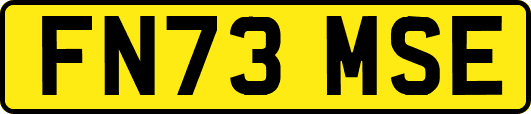 FN73MSE
