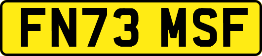 FN73MSF