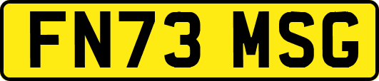 FN73MSG