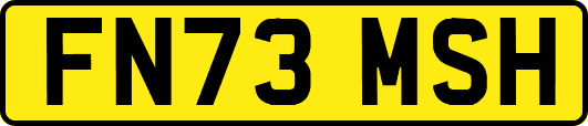 FN73MSH