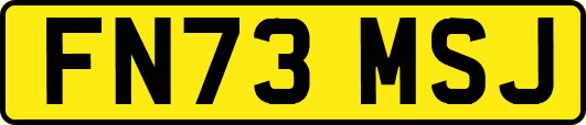 FN73MSJ