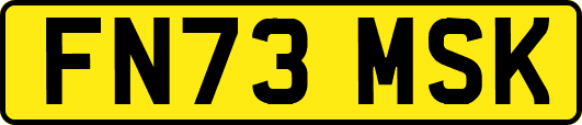 FN73MSK