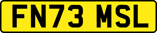 FN73MSL