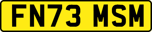 FN73MSM