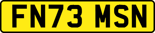 FN73MSN