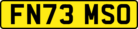 FN73MSO
