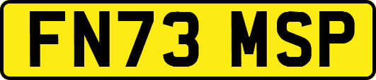 FN73MSP