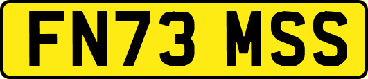 FN73MSS