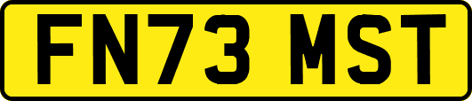 FN73MST