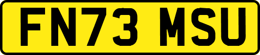 FN73MSU