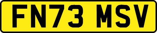 FN73MSV
