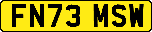 FN73MSW