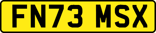 FN73MSX