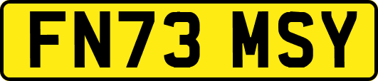 FN73MSY