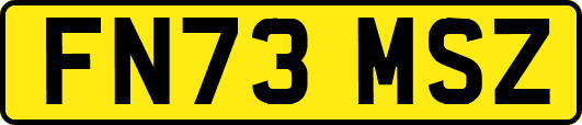 FN73MSZ