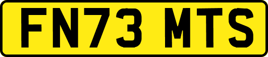 FN73MTS