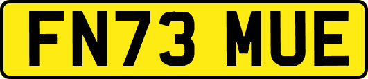 FN73MUE