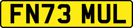 FN73MUL