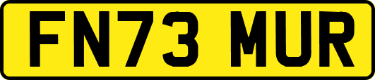 FN73MUR