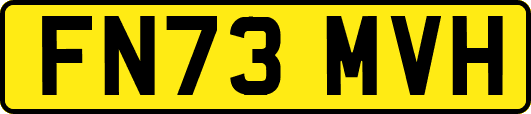 FN73MVH