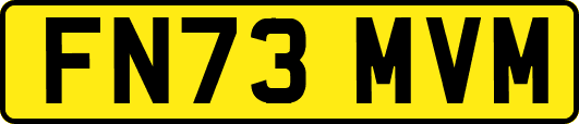 FN73MVM