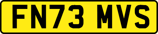 FN73MVS