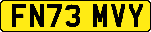 FN73MVY