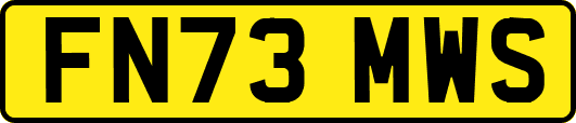 FN73MWS
