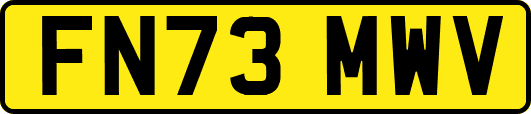 FN73MWV