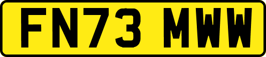 FN73MWW