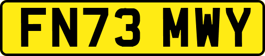 FN73MWY