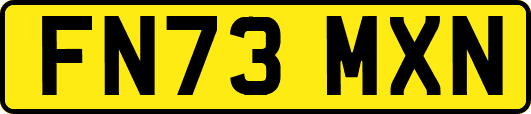 FN73MXN