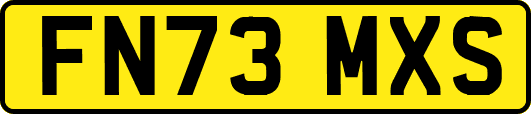 FN73MXS