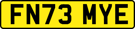FN73MYE