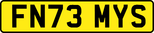FN73MYS