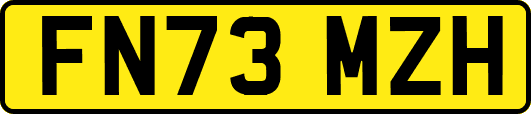 FN73MZH