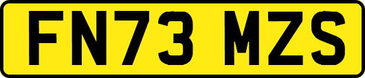 FN73MZS