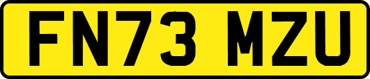 FN73MZU