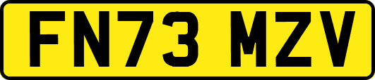 FN73MZV