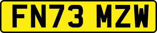 FN73MZW
