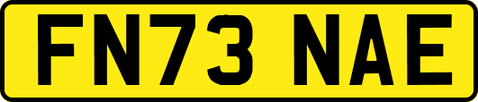 FN73NAE