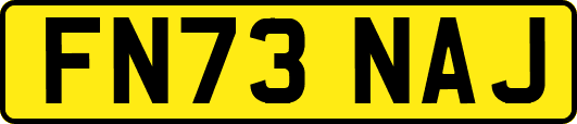 FN73NAJ
