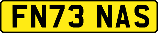 FN73NAS