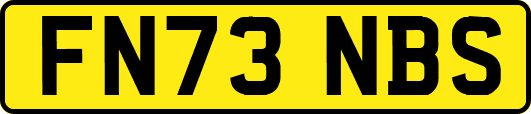 FN73NBS