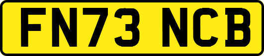 FN73NCB