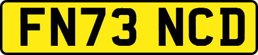 FN73NCD
