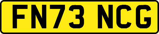 FN73NCG